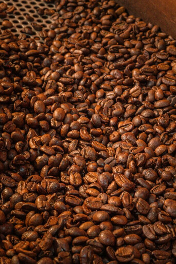 Röstkaffee ganze Bohne mit Rainforest Alliance-Siegel